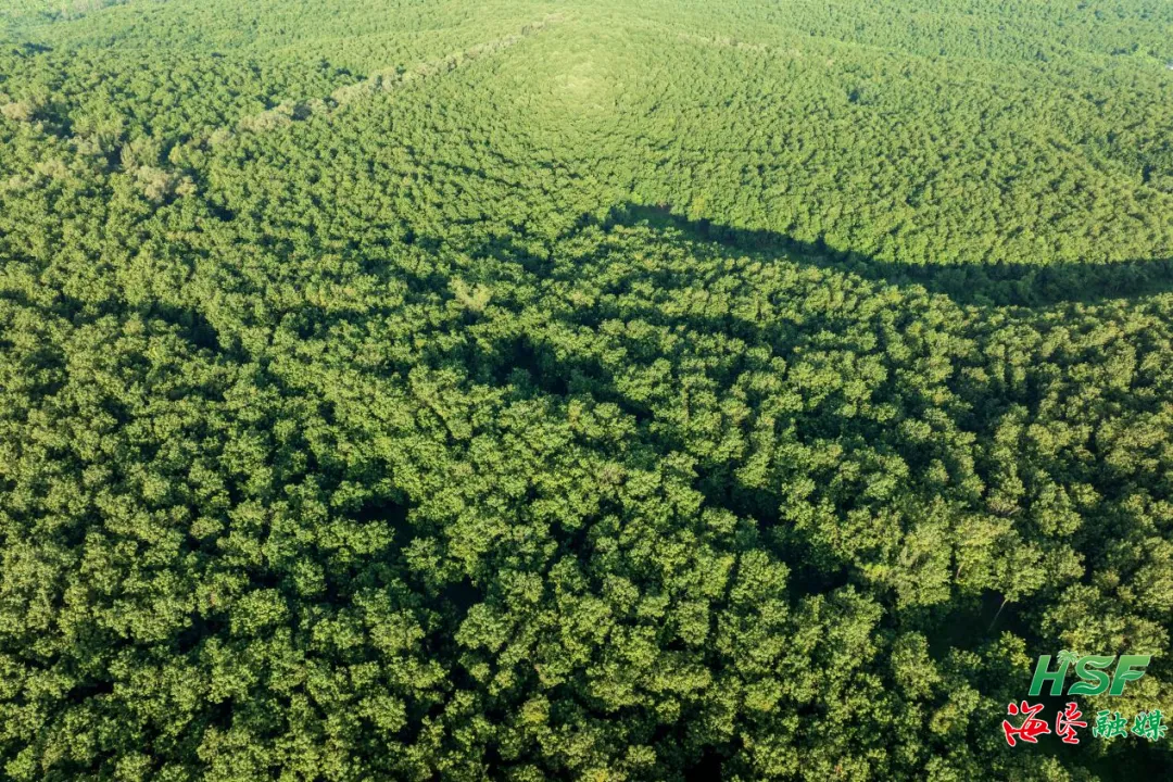 1755879758418093481.jpg 1755879758418093481.jpg