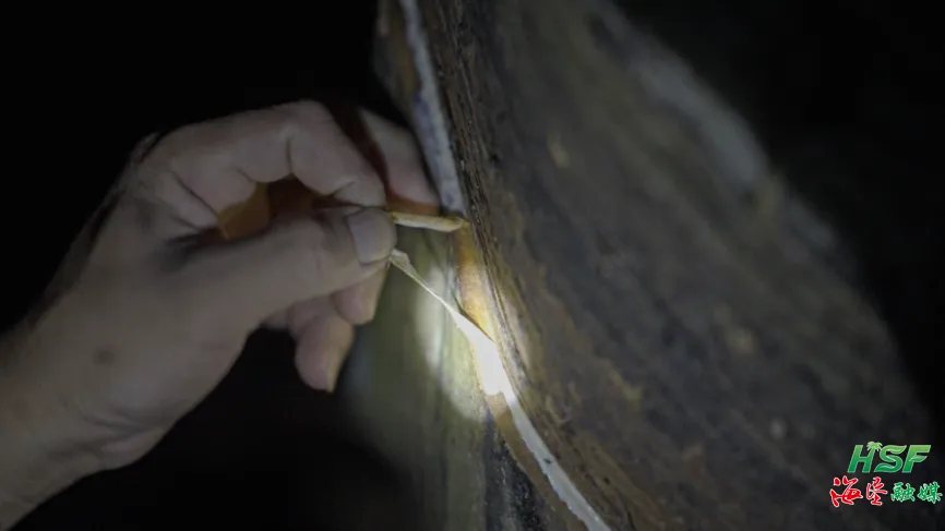 1755879828096039220.jpg 1755879828096039220.jpg